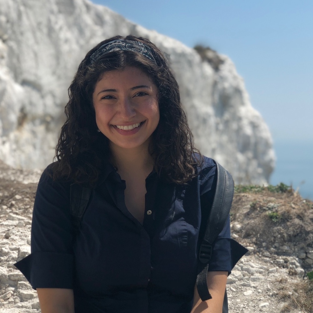 Meet your Posher, Nahida